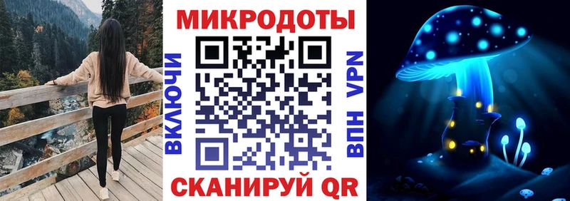 Галлюциногенные грибы мухоморы  где купить наркоту  Камызяк 